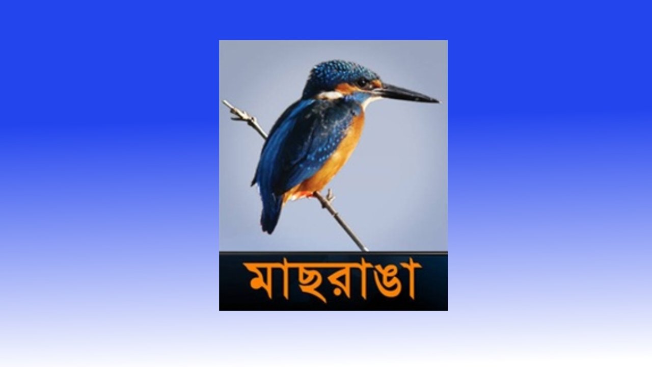 Maasranga TV